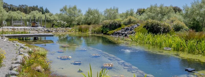 Natural Pool | Greenolive Homestead